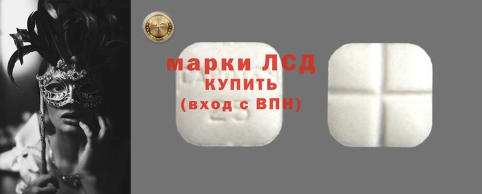 PSILOCYBIN Алексеевка