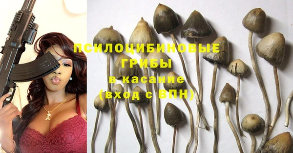 PSILOCYBIN Алексеевка
